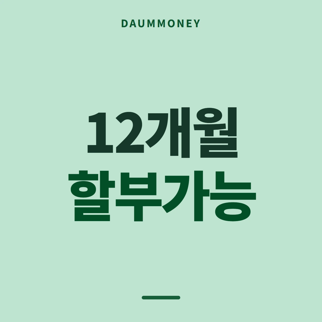 12개월 할부가능